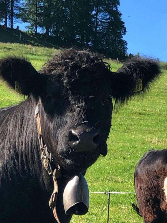 Schoenenbueel Teufen Bagian luar foto